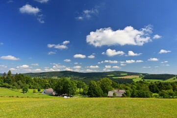 Beautiful summer landscape with nature. Meadow with forest and blue sky on a sunny day. Highlands - Czech Republic
