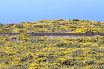 View of the road and the Atlantic Ocean from the highest point of the island of La Palma (Canary...