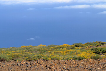 View of the sky and the Atlantic Ocean from the highest point of the island of La Palma (Canary Islands)