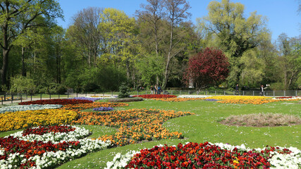 Plakat flowers in the park