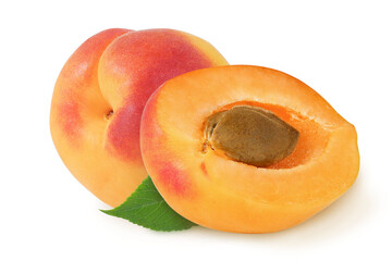 Apricot on an isolated white background