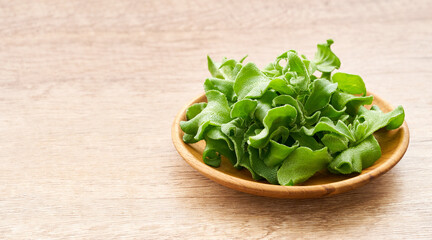 crystalline ice plant or crystal ice plant in wood plate on wooden background. green leaves Crystalline ice plant vegetable food in wood plate on wooden background                               