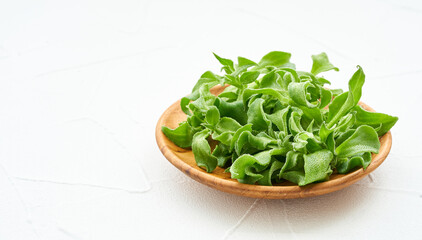 crystalline ice plant or crystal ice plant in wood plate on white background. green leaves Crystalline ice plant vegetable food in wood plate on white background                                       