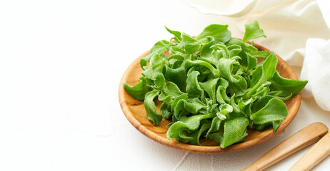 crystalline ice plant or crystal ice plant in wood plate on white background. green leaves...