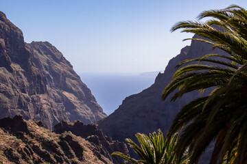 Fototapeta na wymiar Palm tree branches with scenic view from remote tourist village Masca, Teno mountain range, Tenerife, Canary islands, Spain, Europe. Sharp cliffs and steep gulch leading to Atlantic Ocean coastline