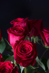 Bouquet of red roses on a black background. Vertical floral background for photo wallpaper, screen saver, banner. High quality photo