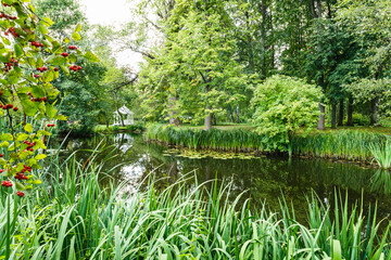 Green lawn in city park with swamp under daylight