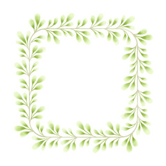 Square frame of botanical illustration.