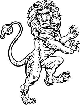 Lion Standing Rampant On Hind Legs