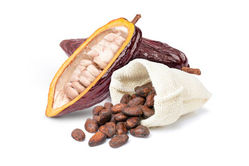 Cocoa powder and cocoa fruit with dried cacao bean isolated on white background.