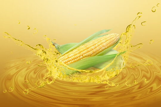 Fresh sweet corn with corn oil splash. 