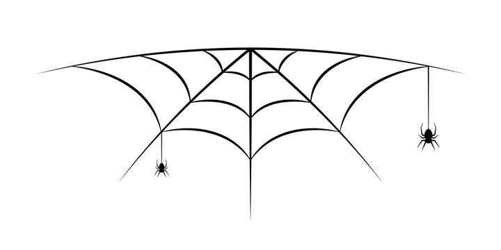 Spiderweb or coweb with spider on the web. Halloween design element. Vector illustration.