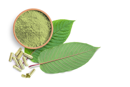 Fresh green Kratom leaf (Mitragyna speciosa) with kratom powder in wooden bowl and herbal capsules isolated on white background. Top view. Flat lay.