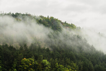 Wolken im Hang im Thüringer Wald