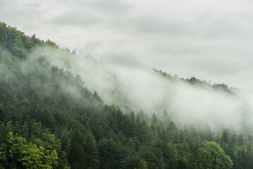 Wolken im Hang im Thüringer Wald