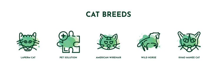 Fototapeta na wymiar set of 5 thin line cat breeds icons. outline icons including laperm cat, pet solution, american wirehair cat, wild horse, khao manee vector. can be used web and mobile.