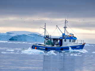 Cruising among gigantic icebergs crowding the waters of the Disko Bay north of the Artic Circle...