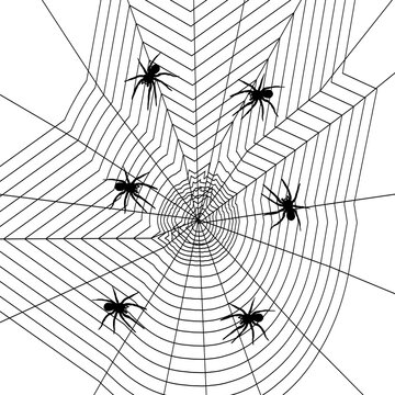 Spiderweb design, Halloween illustration. With tiny spiders crawling all over a spider's web. PNG File, transparent background.