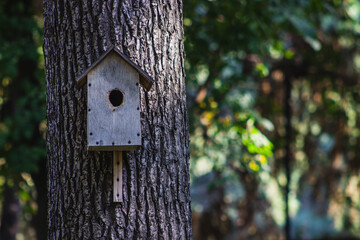 wooden birdhouse nesting box on the tree