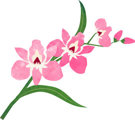 Water color texture botanic garden plant flower pink orchid