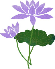Water color texture botanic garden plant flower purple lotus