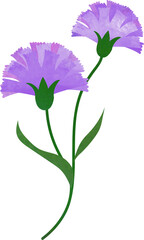 Water color texture botanic garden plant flower purple carnation