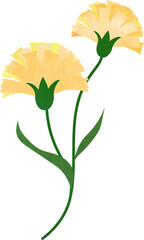 Water color texture botanic garden plant flower yellow carnation