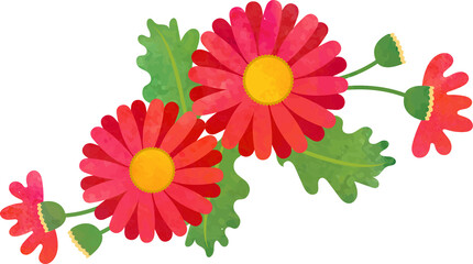 Water color texture botanic garden plant flower red daisy