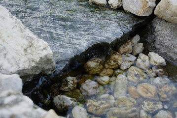 rocks in the water