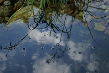 reflection in water