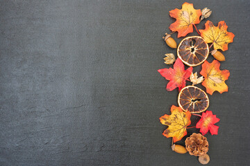 Yellow maple leaves on a dark background