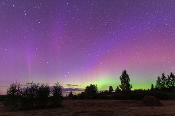 Obraz na płótnie Canvas Night landscape with northern lights in green violet starry sky
