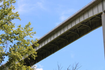bridge over the river