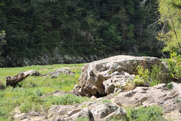 Fototapeta na wymiar Rocks in the Mountains