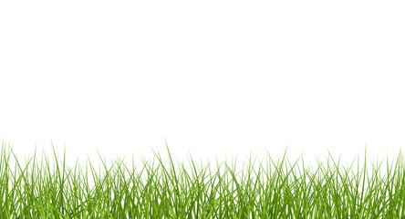 Vector bright green realistic seamless grass border isolated on transparent background - 529844876