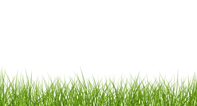 Vector bright green realistic seamless grass border isolated on transparent background