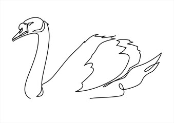 Naklejka na ściany i meble Continuous one line drawing. Swan logo.