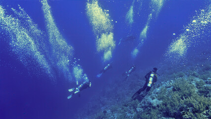 Fototapeta na wymiar The underwater world and universe of scuba divers