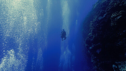 Underwater photo of scuba diver at a drop off coral wall