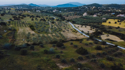 Fototapeta premium Big house arround a big forest with a lot of trees 