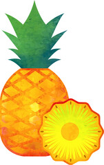 Colorful watercolor texture food fruit pineapple