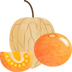 Colorful watercolor texture food fruit cape gooseberry physalis