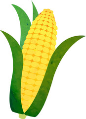 Colorful watercolor texture food ingredient vegetable corn