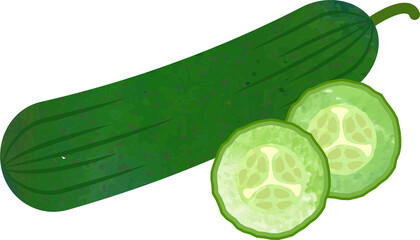 Colorful watercolor texture food ingredient vegetable cucumber