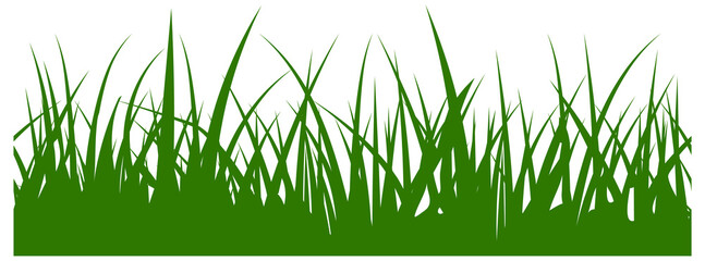 Grass banner. Seamless border design. Natural lawn plant