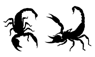 set of scorpion silhouettes