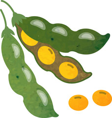 Colorful watercolor texture food ingredient vegetable Soybeans