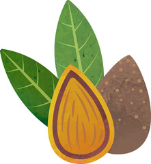 Colorful watercolor texture food ingredient nut Almond