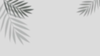Abstract light and windows shadow background with palm leaf shadow, wallpaper illustration
