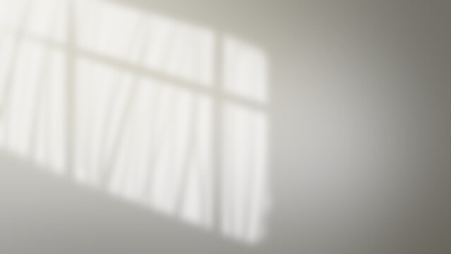 Abstract light and windows shadow background with palm leaf shadow, wallpaper illustration